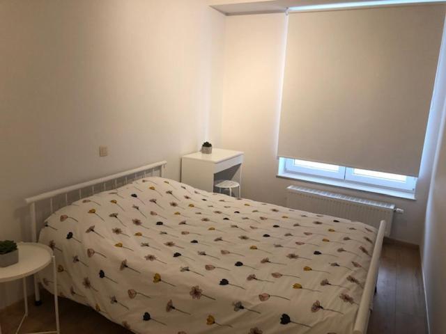 Vakantie Appartement Allure, Met Zuidgericht Tuintje Ostende Exterior foto